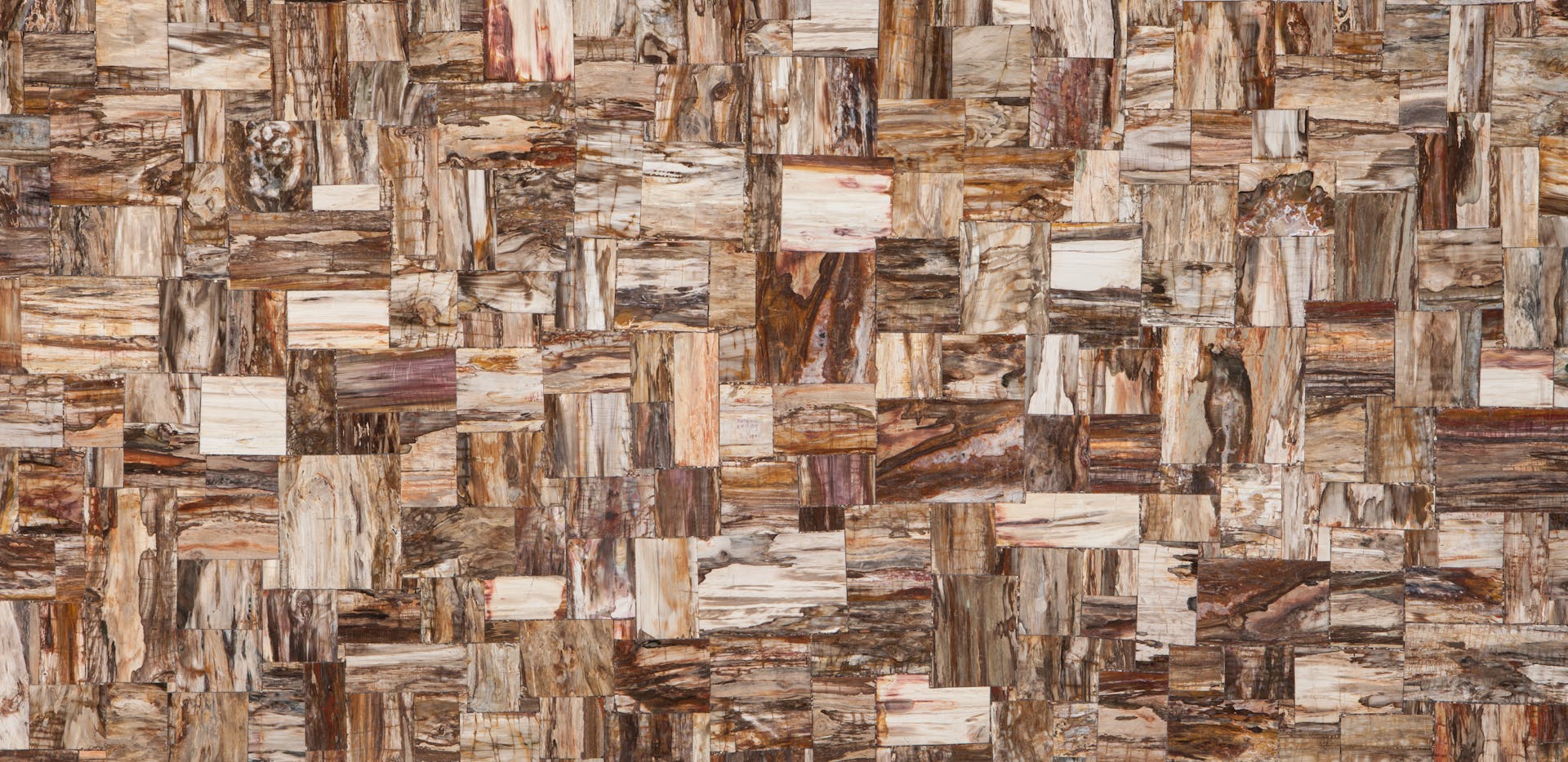 Prexury Retro Petrified Wood By Cosentino Cosentino Usa