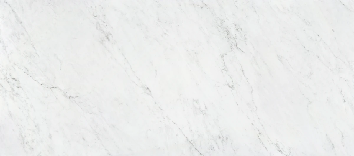 Salina Dekton scene 2