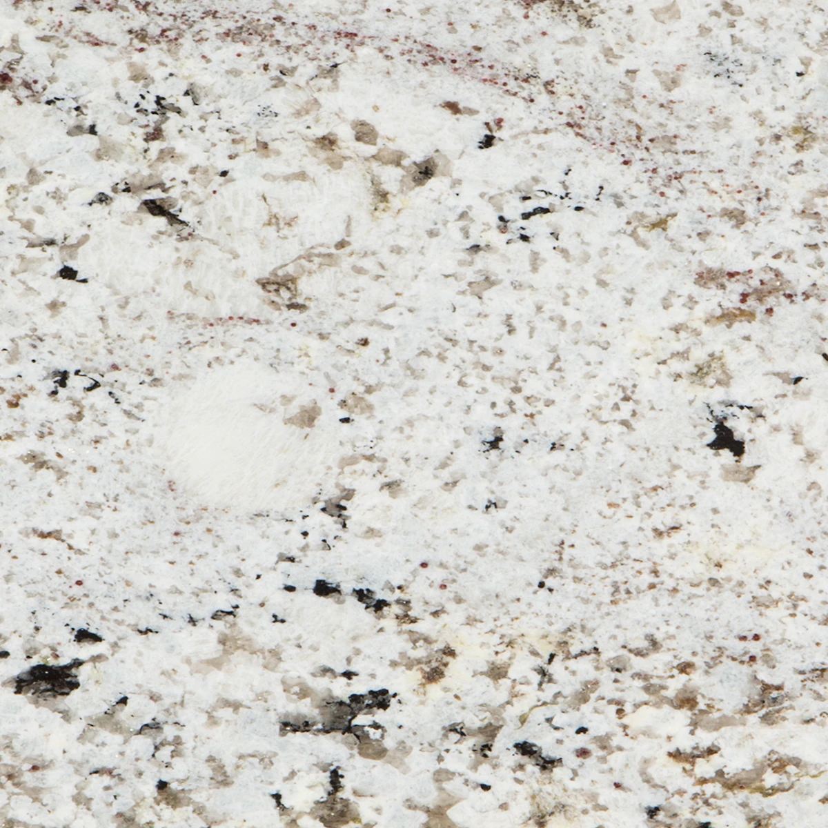 White Egeo Granite scene 3