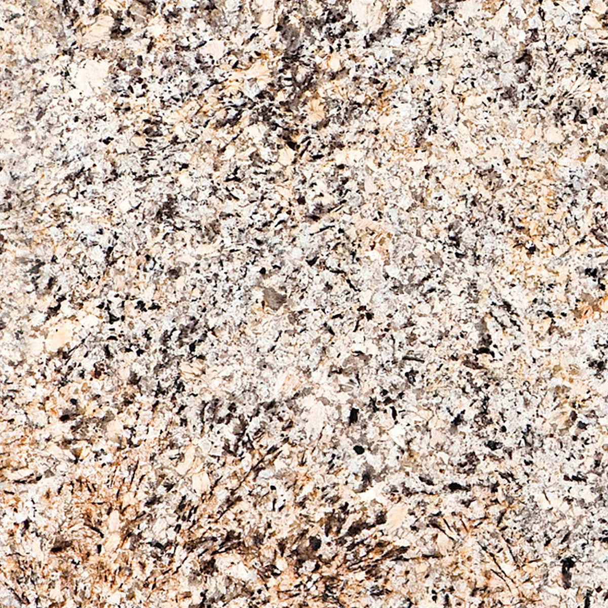 Caroline Summer Granite scene 1