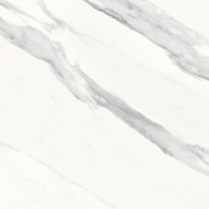 Image number 81 of the current section of Colors of Cosentino USA