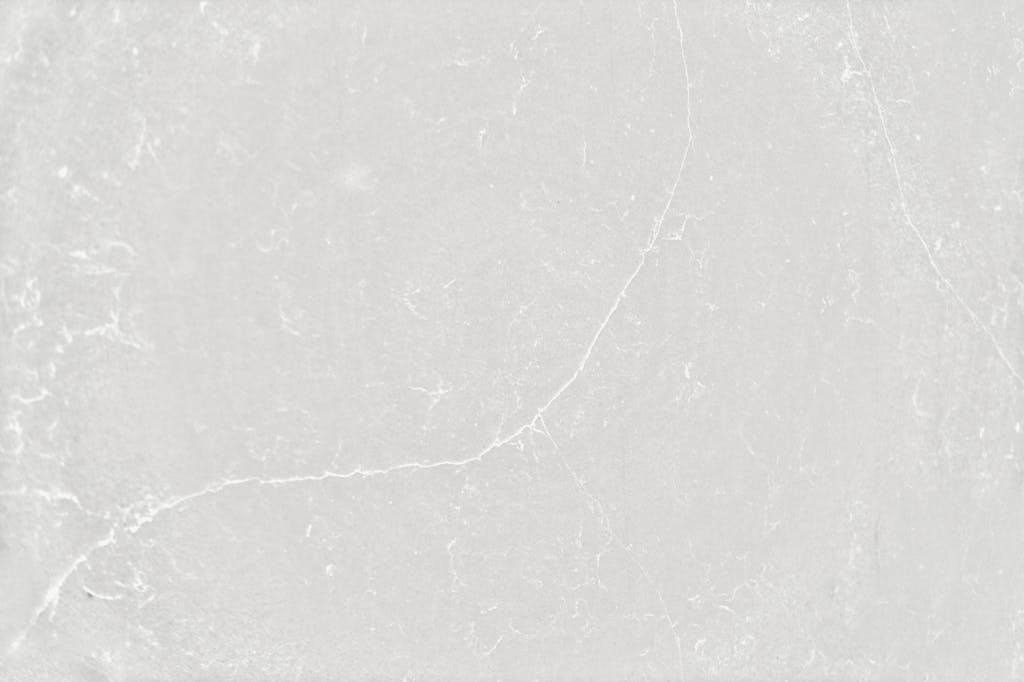 DESERT SILVER