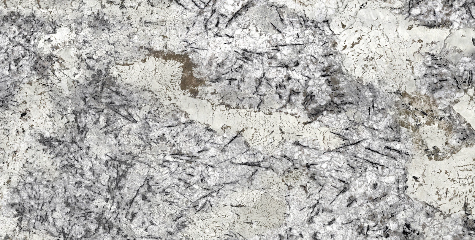 Delicatus Ice19