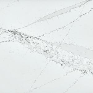 Image number 45 of the current section of Silestone | Countertop in Cosentino Canada