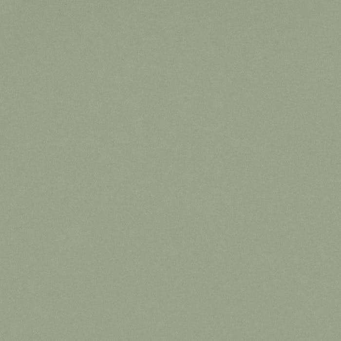 Posidonia green
