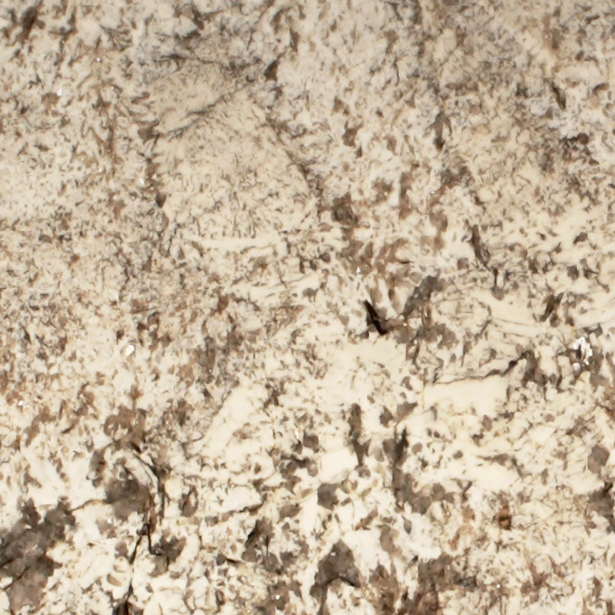 Star White Granite countertop slab