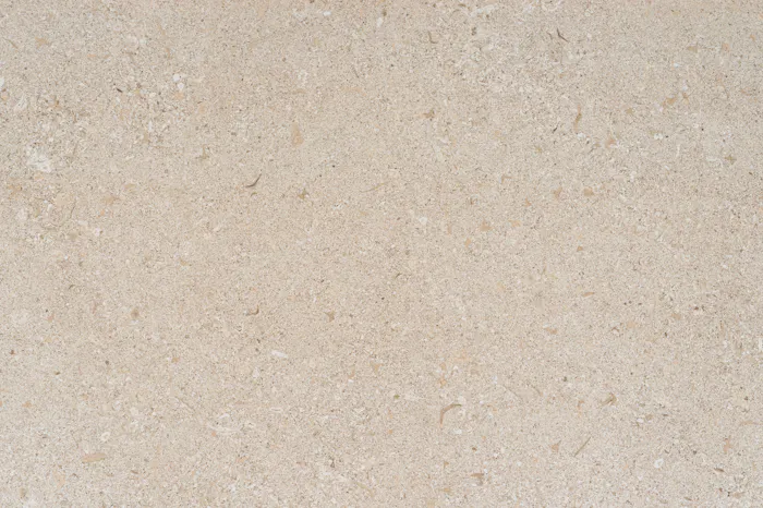 Avorio