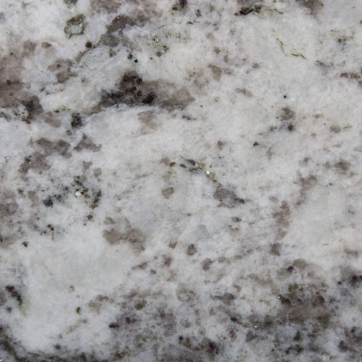 White Alamo Granite scene 1