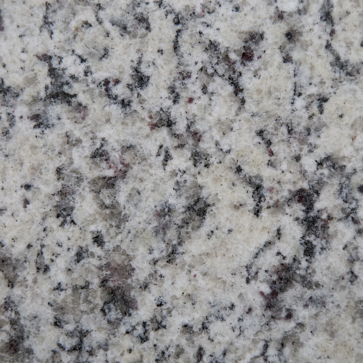 White Napoli Granite scene 5