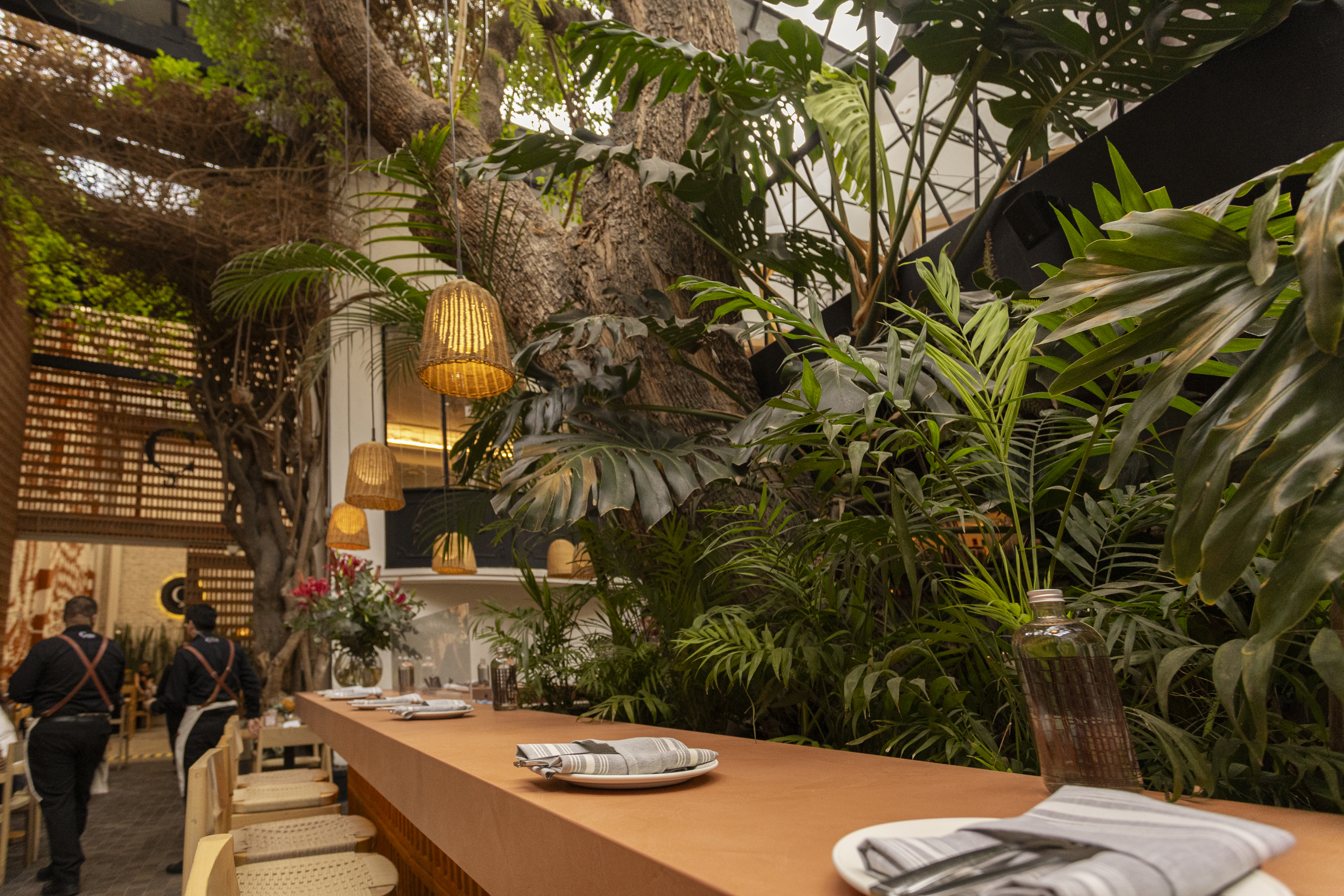 Cuina Restaurante