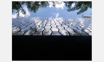 Gunni Trentino HQ