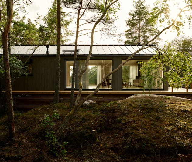 Nordic toned home