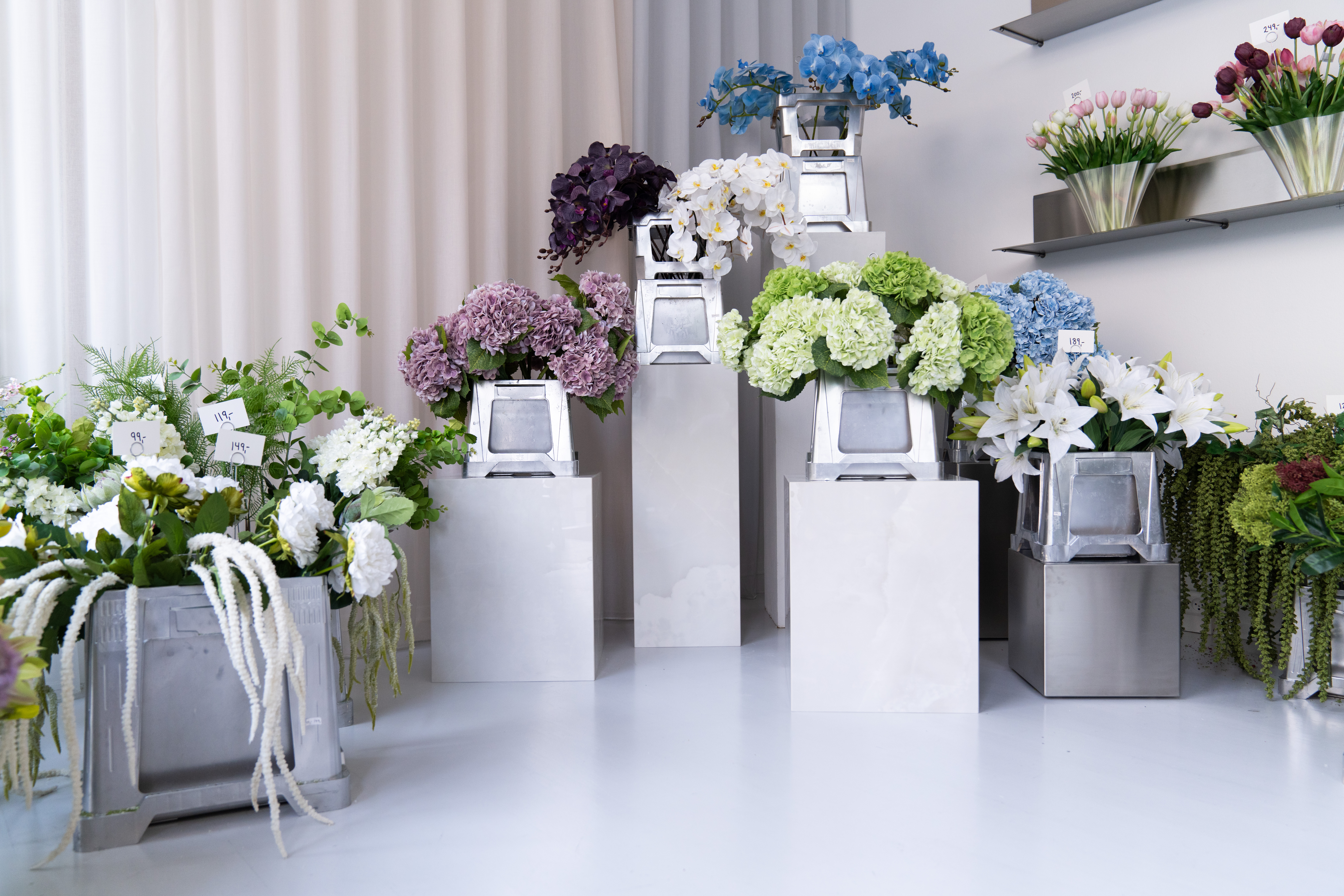 bloom-objects.jpg?auto=format&