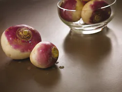 Amazon River - detail.jpg