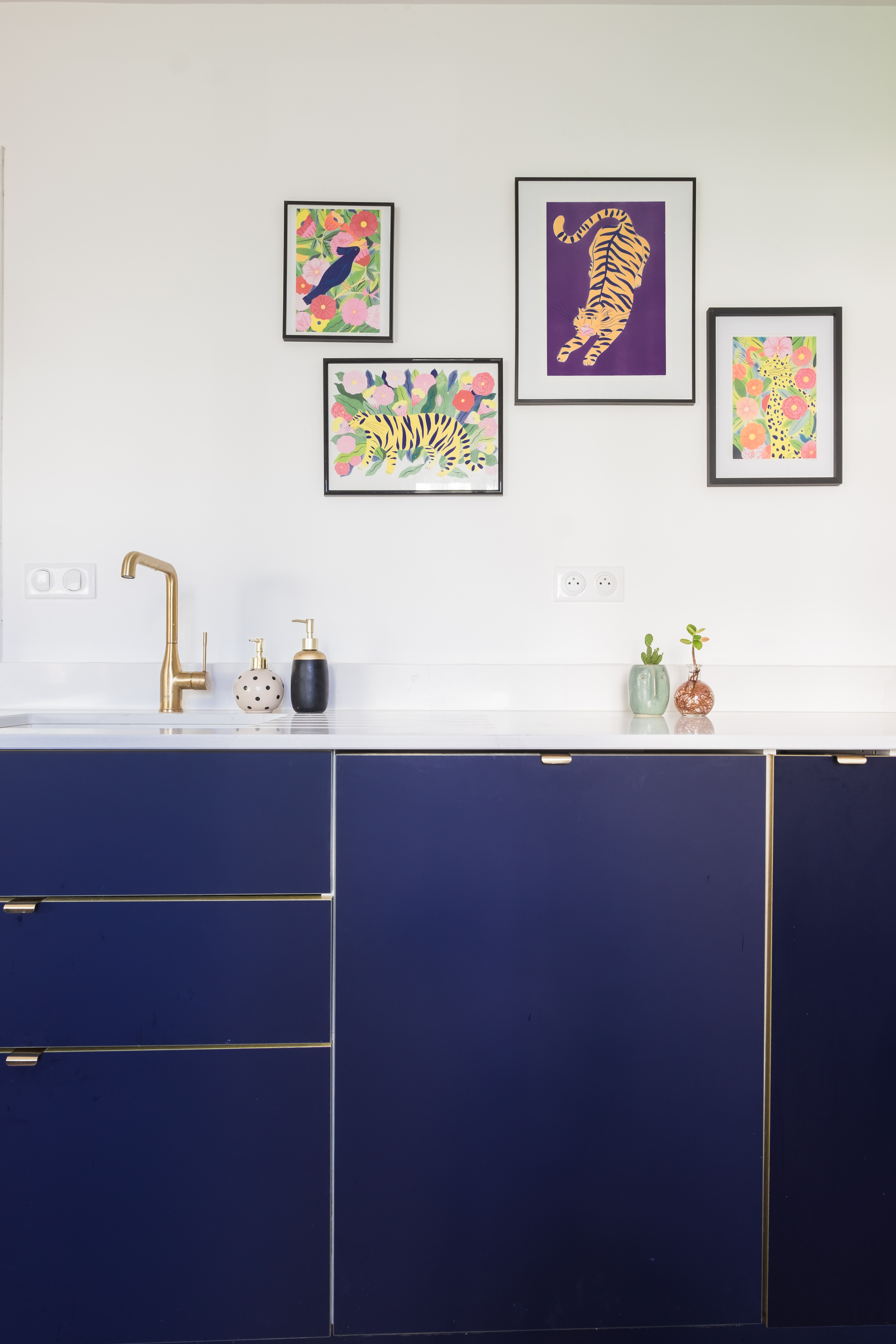 Imagen otras colecciones