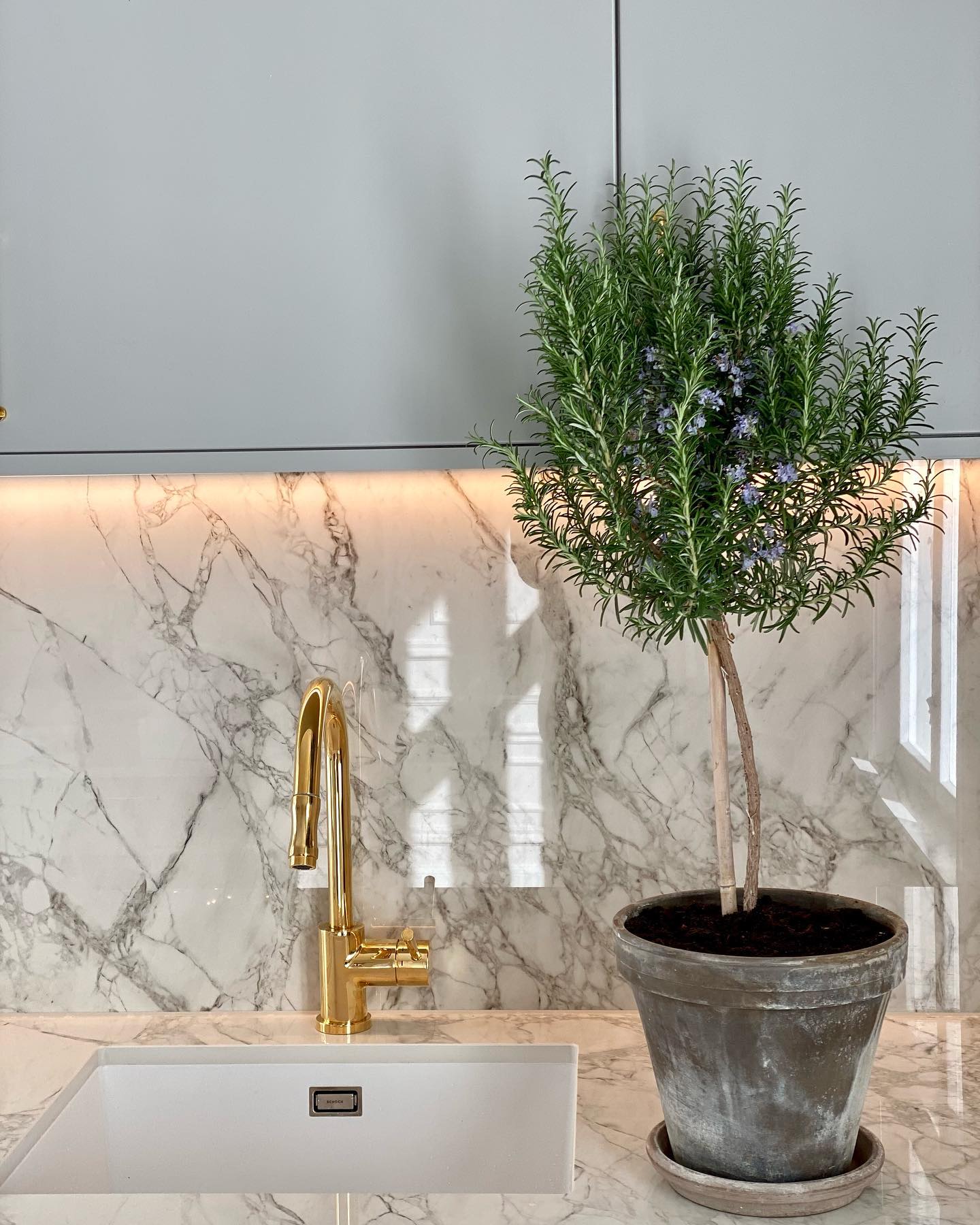 Imagen otras colecciones